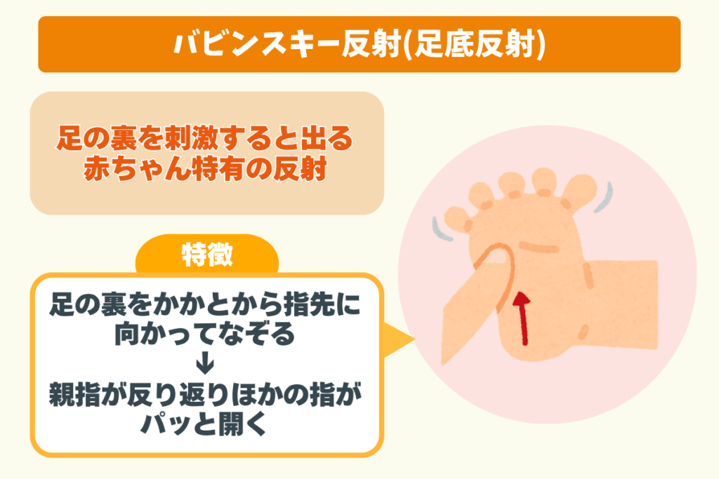 バビンスキー反射(足底反射)