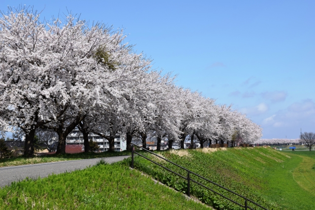【年齢別】3月に作りたいおすすめの製作記事！